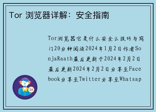 Tor 浏览器详解：安全指南 