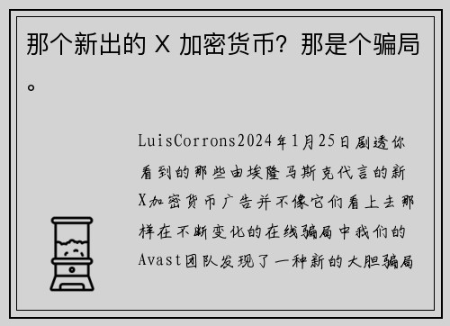 那个新出的 X 加密货币？那是个骗局。